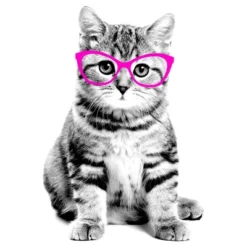 Girl's Lost Gods Fluffy Kitten In Pink Glasses T-Shirt