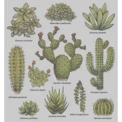 Men's Lost Gods Botanical Cacti Sweatshirt