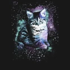 Girl's Lost Gods Star Kitten T-Shirt